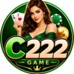 C222 Game