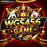 Wgs456 Game
